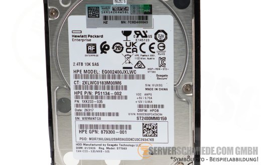 2,4TB 10k 2,5