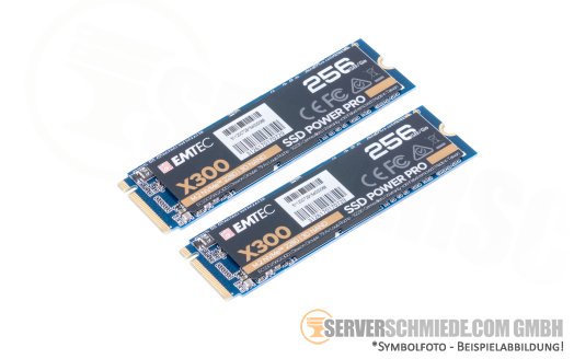2x Emtec X300 256GB M.2 2280 NVMe SSD +NEW+