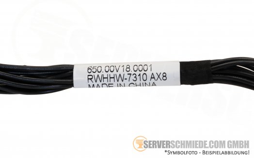 Cisco 20cm C250 M5 Power Kabel 2x12pin RWHHW-7310 AX8 650.00V18.0001