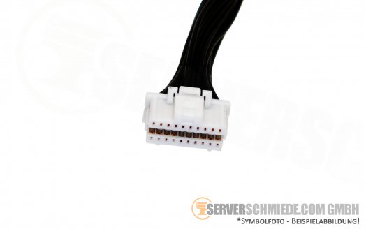 Cisco 25cm C250 M5 Power Kabel 2x 20pin RWHHW-9285  AX3