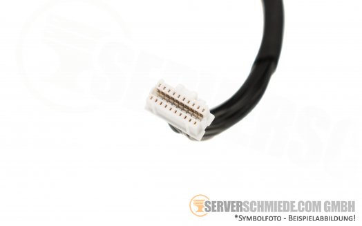 Cisco 25cm C250 M5 Power Kabel 2x 20pin RWHHW-9285  AX3
