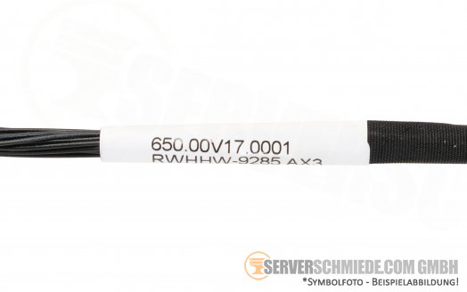 Cisco 25cm C250 M5 Power Kabel 2x 20pin RWHHW-9285  AX3