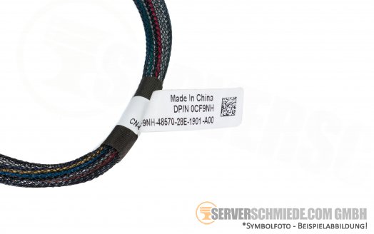 Dell 45cm SAS Kabel 2x SFF-8087 winkel 0CF9NH