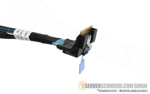 Dell 55cm BP to Controller Kabel cable 1x SFF-8654 8i winkel to 1x SFF-8654 8i winkel R760xs R750xs 0PRN96