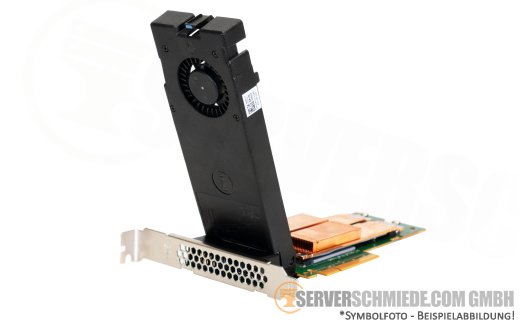 Dell Internal SSD Adapter DPWC310 2x M.2 2280 NVMe PCIe 4.0 x4 0FM1CF 08R13G 070R79