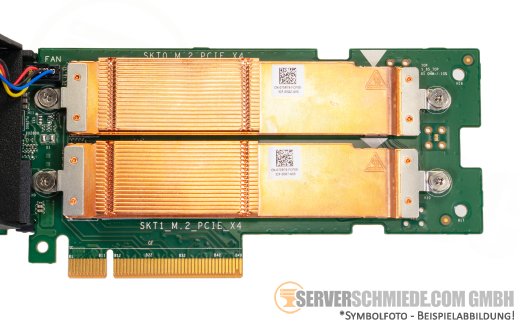 Dell Internal SSD Adapter DPWC310 2x M.2 2280 NVMe PCIe 4.0 x4 0FM1CF 08R13G 070R79