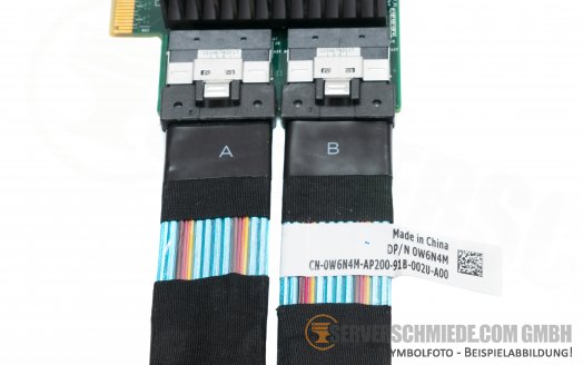 Dell NVMe U.2 PCIe x16 Controller Extender Expansion Kit incl. cables for R640 R740xd R940 01YGFW W6N4M