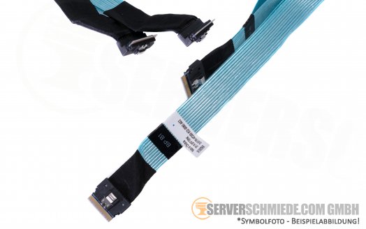 Dell 70cm R640 10-Bay NVMe Extender cable 6-9 2x SFF-8654 gerade to 2x SFF-8654 winkel Kabel 06PPNG 0684MR