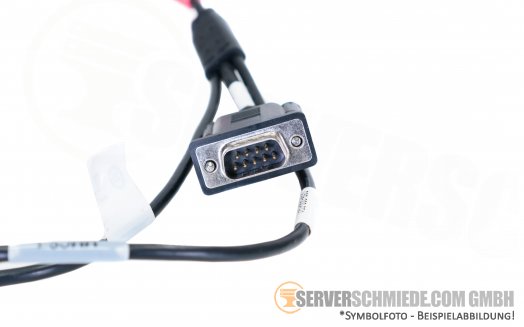 EMC Vmax Micro Hdmi To Db9 Dual Rj12 Cable 039-000-021