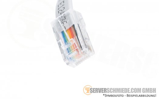 Foxconn Serial to RJ-45 Converter Kabel Cable LL110948 E124936-D