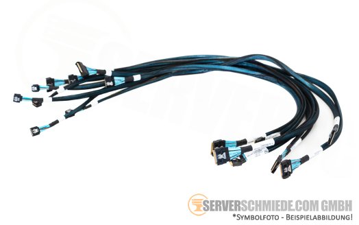 Fujitsu Cable Kit for PRAID RAID-Controller EP6xxi/CP6xxi/EP7xxi/EP3xxi/CP2200-16i RX2540 M7 PY-CBS107 +NEW+