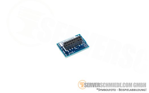 Gigabyte CTM010 TPM Modul 2.0 Trusted Platform