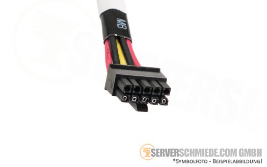 HP 10cm Backplane Power Kabel 1x 10-pin to 1x 6-pin DL560 Gen10 869953-001