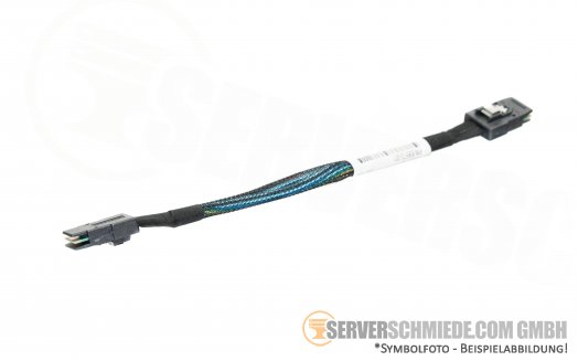 HP 20cm SAS Kabel 2x SFF-8087 gerade 806572-001