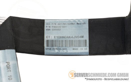 HP 22 / 57cm Tertiary Riser Kabel cable 2x SFF-8654 8i gerade to 2x SFF-8654 8i gerade DL380 Gen11 P46026-001