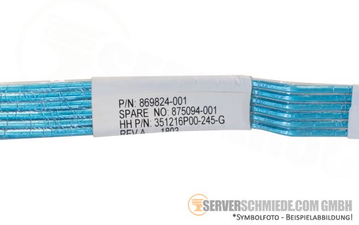 HP 30cm SAS Kabel 2x SFF-8087 gerade 869824-001