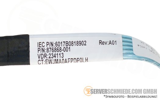 HP 33cm SAS Kabel cable Rear to AROC 1x SFF-8087 gerade to 1x SFF-8087 gerade DL360 Gen10 876868-001