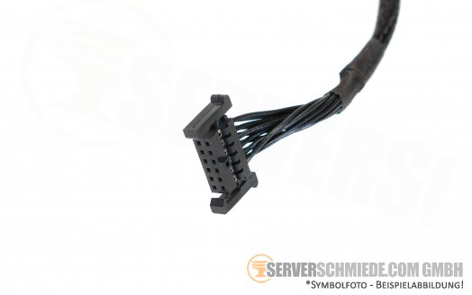 HP 40cm  Signalkabel 2x 12pin 838837-001