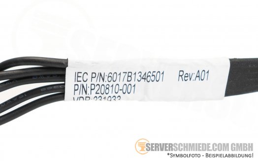 HP 45cm Power Kabel 1x 10-pin -- 1x 6-pin P20810-001