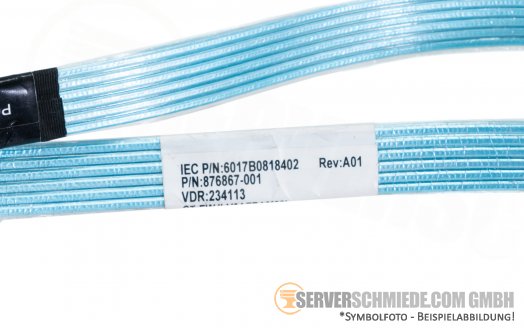 HP 55cm  SAS Kabel 1x SFF-8087 gerade 1x SFF-8087 winkel 876867-001 6017B0818402