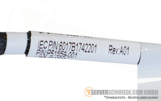 HP 60cm SAS Kabel cable 2x SFF-8087 gerade to 1x SFF-8654 winkel DL380 Gen11 LFF P51559-001