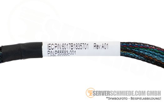 HP 82 / 64cm SAS Kabel cable 2x SFF-8087 winkel to 1x SFF-8654 gerade DL360 Gen10 Plus 8xSFF P55583-001