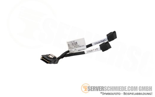 HP 8cm SAS Kabel cable 1x SFF-8087 gerade to 2x SATA gerade DL360 Gen10 Plus P37641-001