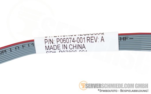 HP Dedicated iLO Port / M.2 NVMe SSD / COM Port Upgrade Kit DL20 ML30 Gen10 P06687-B21 +NEW+