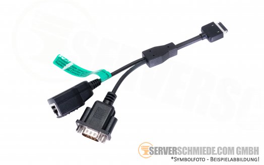 HP Diagnostic splitter Kabel Adapter Subnet crossover ILO 1x PCIe zu  1x RJ45 1x VGA male 244570-001