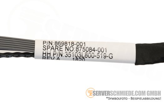 HP DL380 Gen10 Ohr rechts ear right 875084-001