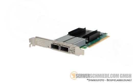 HP Mellanox ConnectX-5 CX556A 841QSFP28 2x 100GbE QSFP28 PCIe x16 Controller Ethernet Netzwerk 878579-001