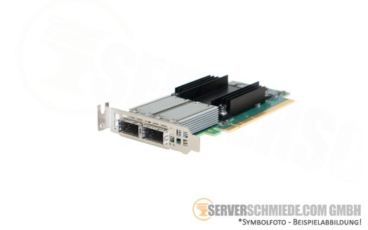 HP Mellanox ConnectX-5 CX556A 841QSFP28 2x 100GbE QSFP28 PCIe x16 Controller Ethernet Netzwerk 878579-001