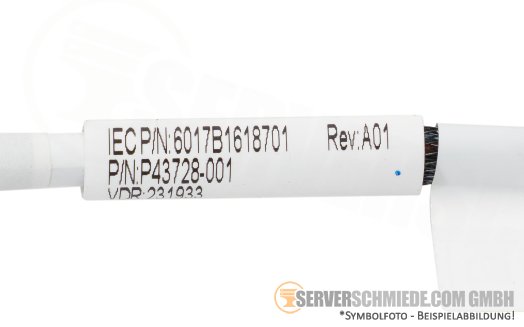 HP SAS Kabel cable 1x SFF-8087 gerade to 1x SFF-8654 winkel DL360 Gen11 P43728-001