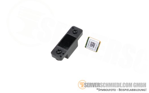 HP TPM 2.0 Modul Black Rivets Kit Proliant DL360 DL380 ML350 Gen10 Plus P13771-B21