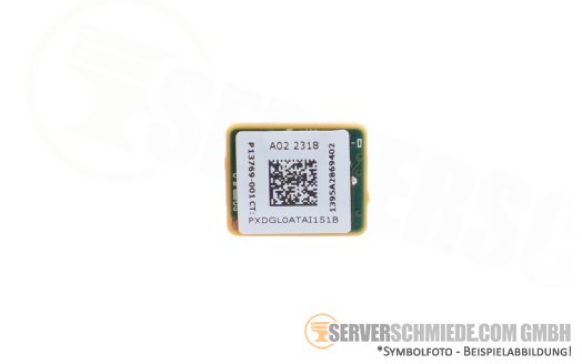 HP TPM 2.0 Modul Black Rivets Kit Proliant DL360 DL380 ML350 Gen10 Plus P13771-B21