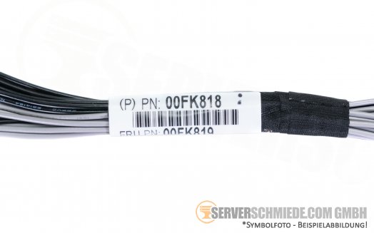 IBM 15cm HDD kabel x3650 M5 2x 22pin 00FK818