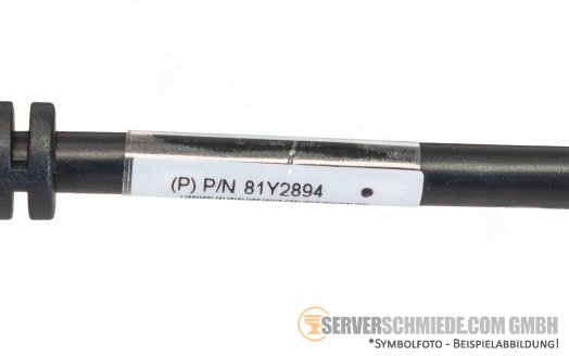 IBM Lenovo ThinkAgile SD530 81Y5286 Console Breakout cable Front VGA/USB KVM cable