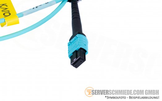 LWL Patchkabel 30cm Optical 1x MTRJ --- 1x MTRJ