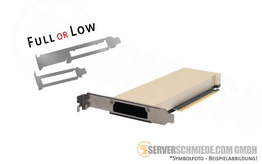 Nvidia Tesla L4 24GB Tensor KI VDI Computing Server GPU 7680 CUDA Cores PCIe Gen4 x16 Fanless 70W