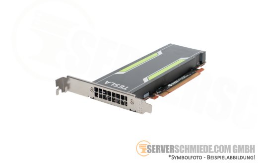 nVidia Tesla P4 8GB KI VDI Computing Server GPU 5,5-TFlops PCIe x16 Fanless 75W