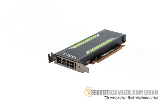 nVidia Tesla P4 8GB KI VDI Computing Server GPU 5,5-TFlops PCIe x16 Fanless 75W