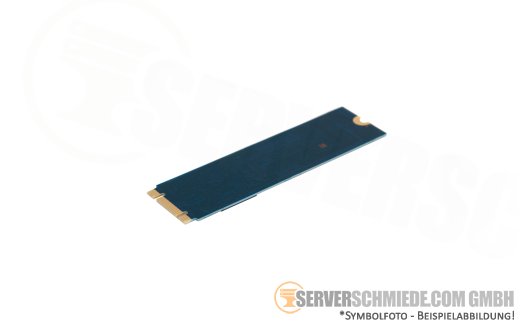 Western Digital 1TB M.2 2280 WD Red NAS SATA 6Gb SSD WDS100T1R0B SA500 +NEW+