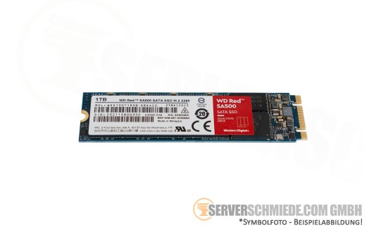 Western Digital 1TB M.2 2280 WD Red NAS SATA 6Gb SSD WDS100T1R0B SA500 +NEW+